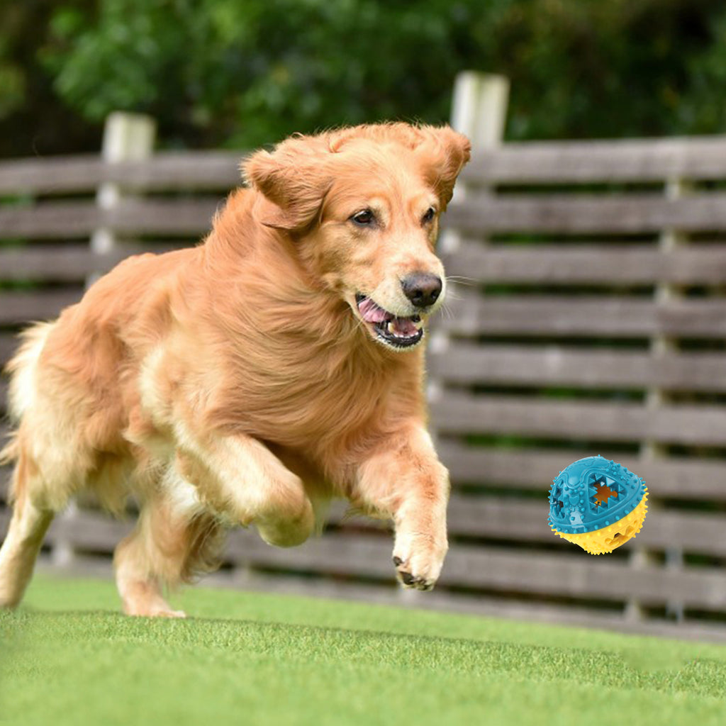 Interactive Training Cleaning Teeth Ball Toy