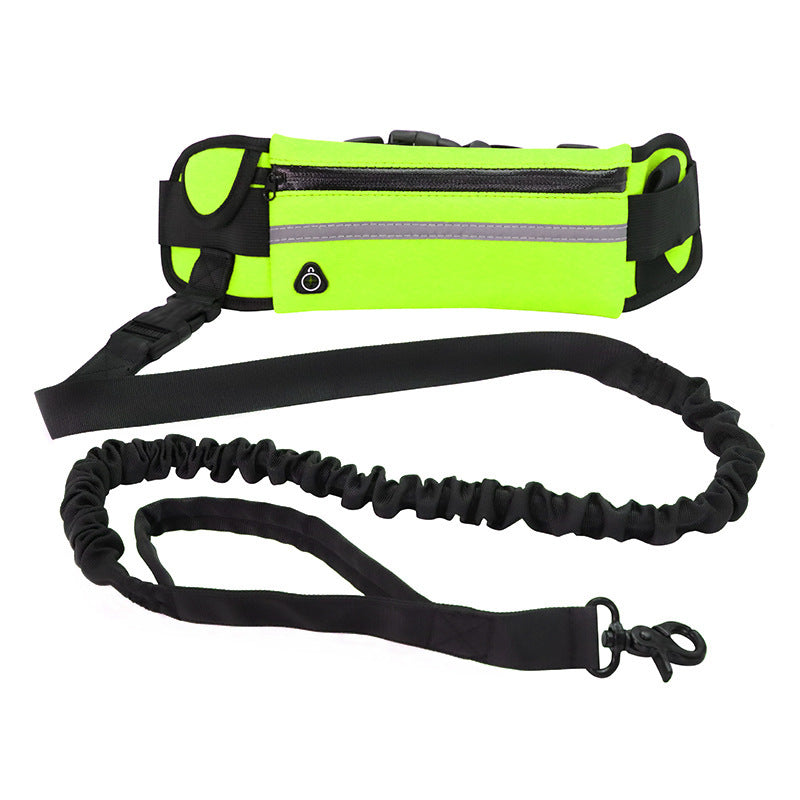 Hands Free Dog Leash Pet Walking And Training Belt - Compagnons de Vie