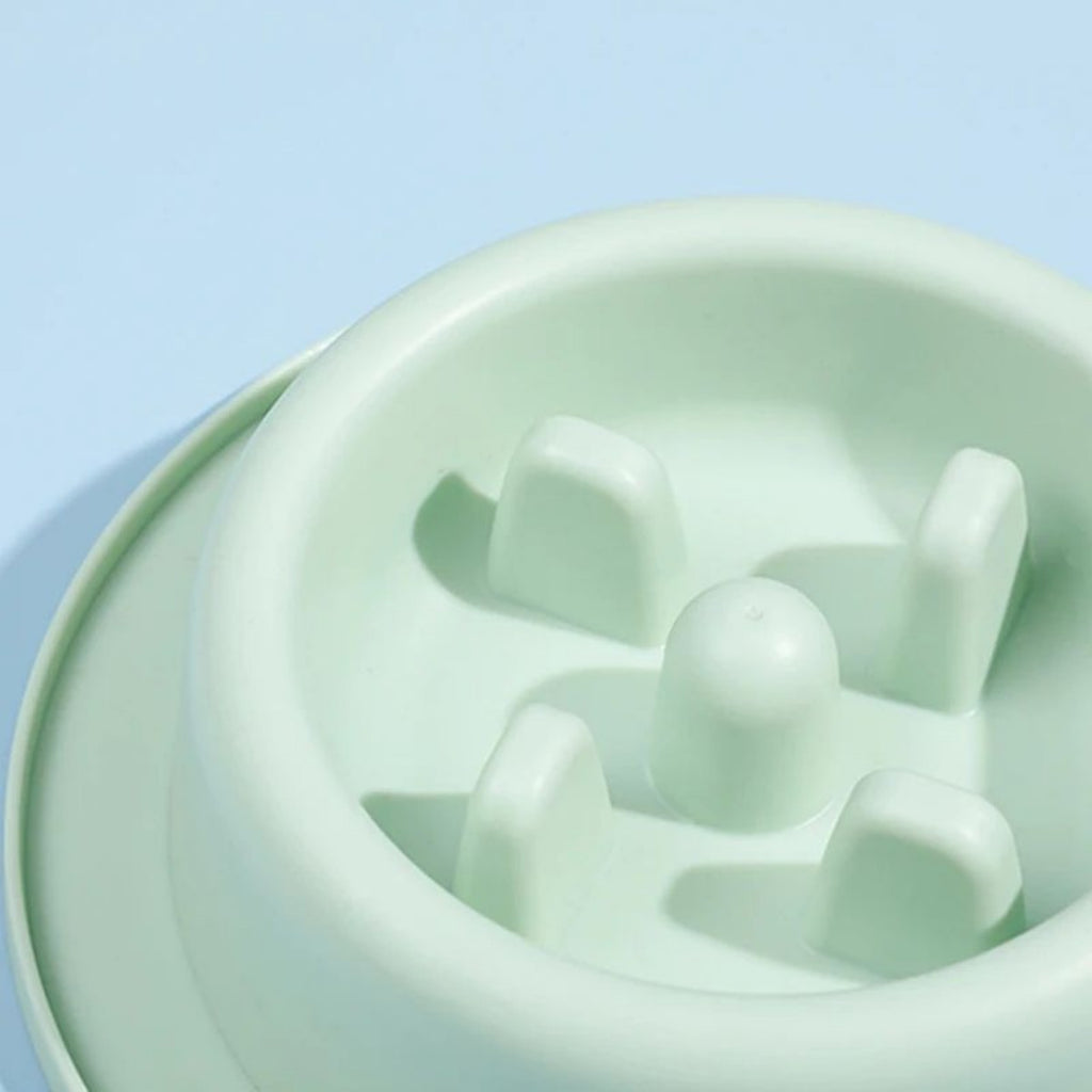 Anti-Chocking Slow Eating Food Bowls