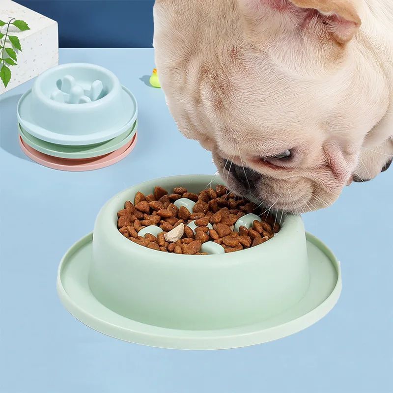 Anti-Chocking Slow Eating Food Bowls