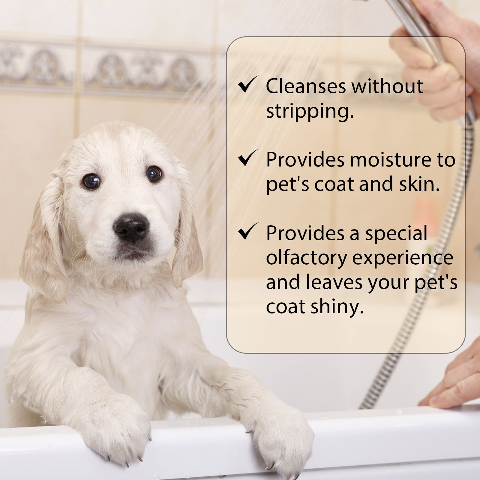 Mild And Clean Pet Shampoo