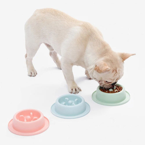 Anti-Chocking Slow Eating Food Bowls