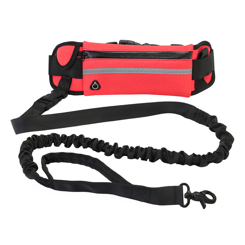 Hands Free Dog Leash Pet Walking And Training Belt - Compagnons de Vie