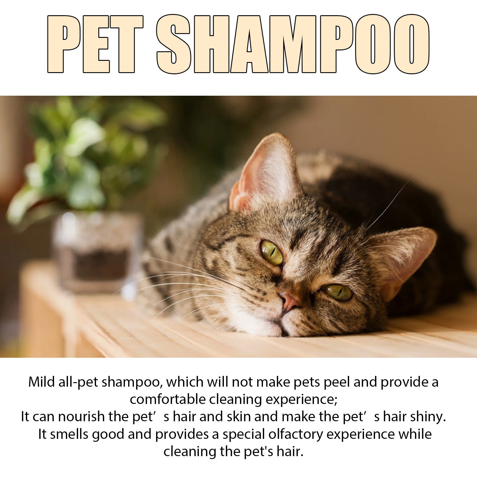 Mild And Clean Pet Shampoo